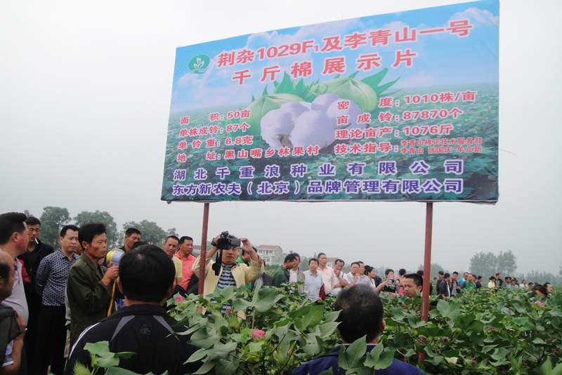 点击在新窗口中打开