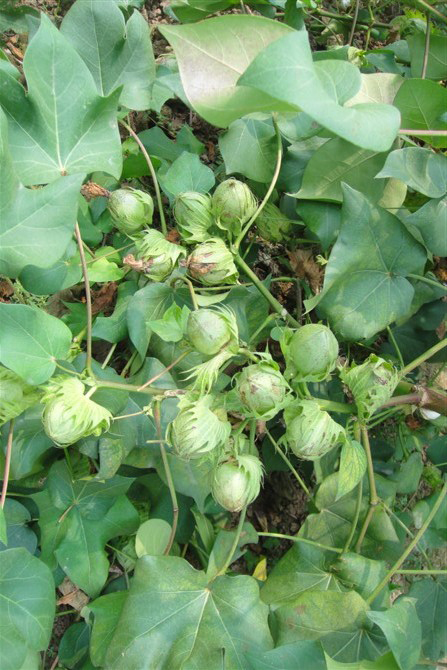 点击在新窗口中打开