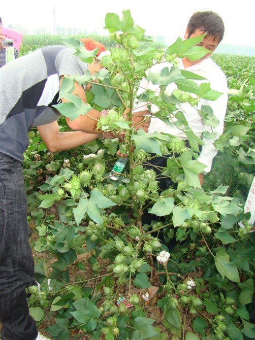 点击在新窗口中打开