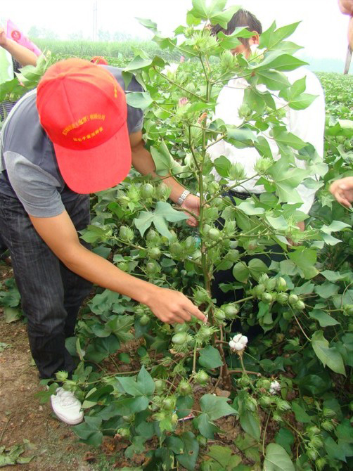 点击在新窗口中打开