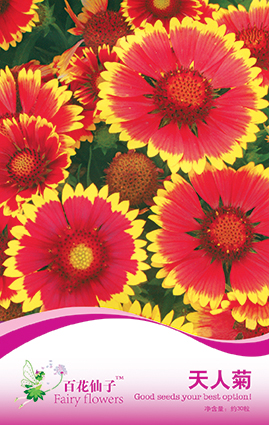 点击在新窗口中打开