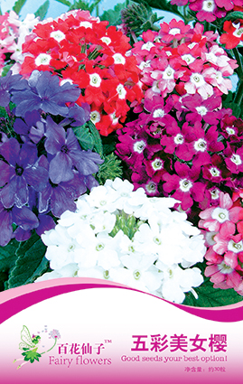 点击在新窗口中打开