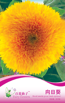 点击在新窗口中打开