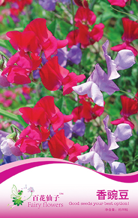 点击在新窗口中打开