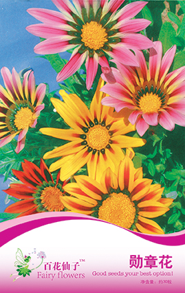 点击在新窗口中打开