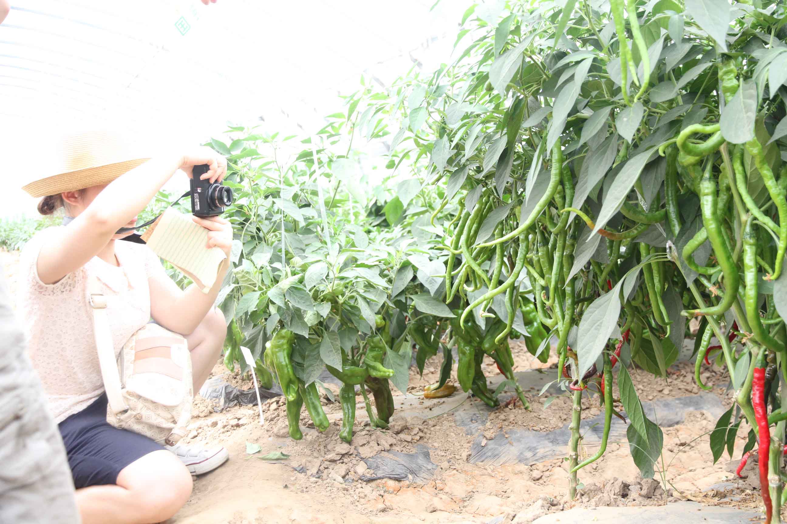 点击在新窗口中打开