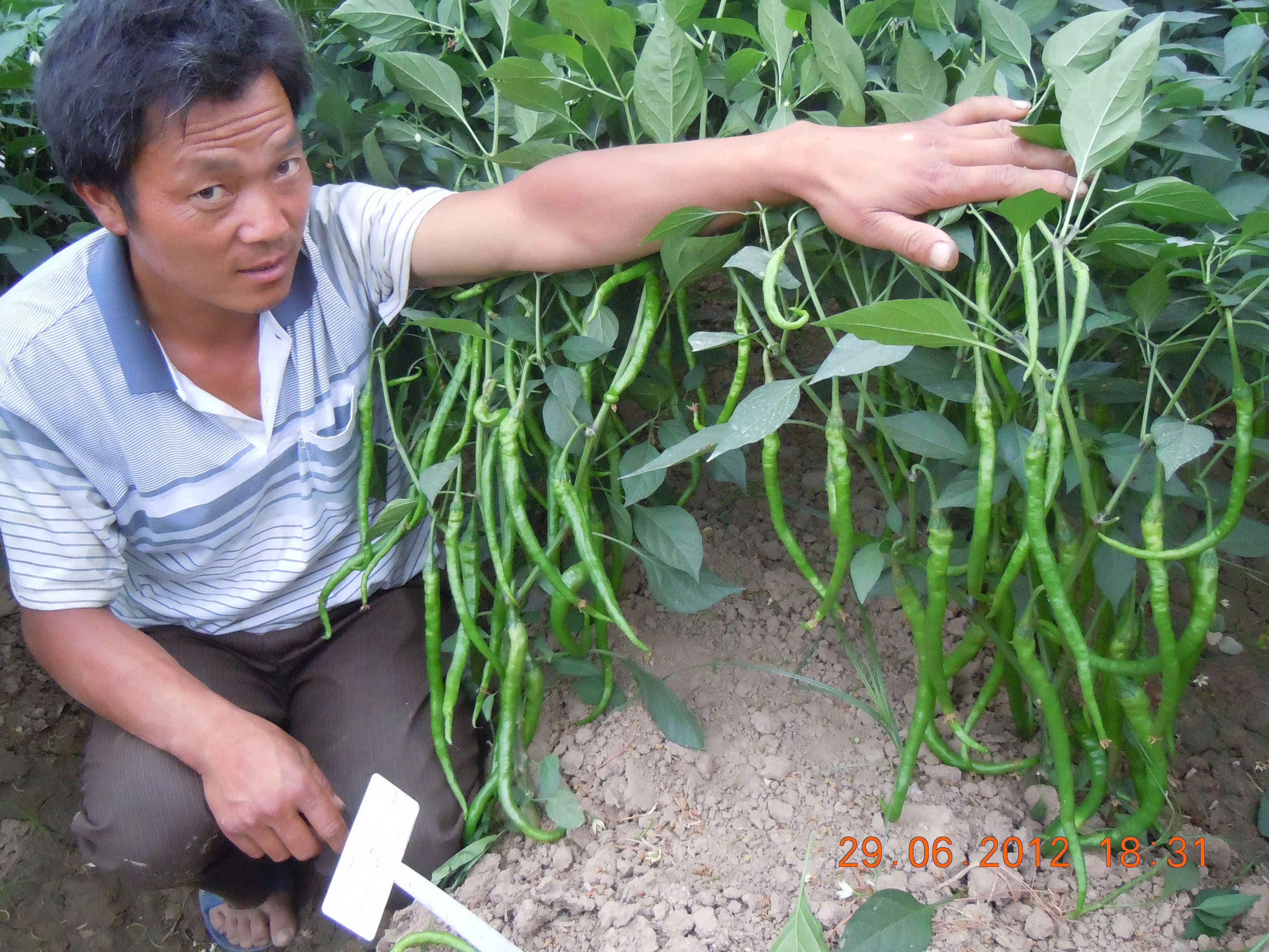 点击在新窗口中打开