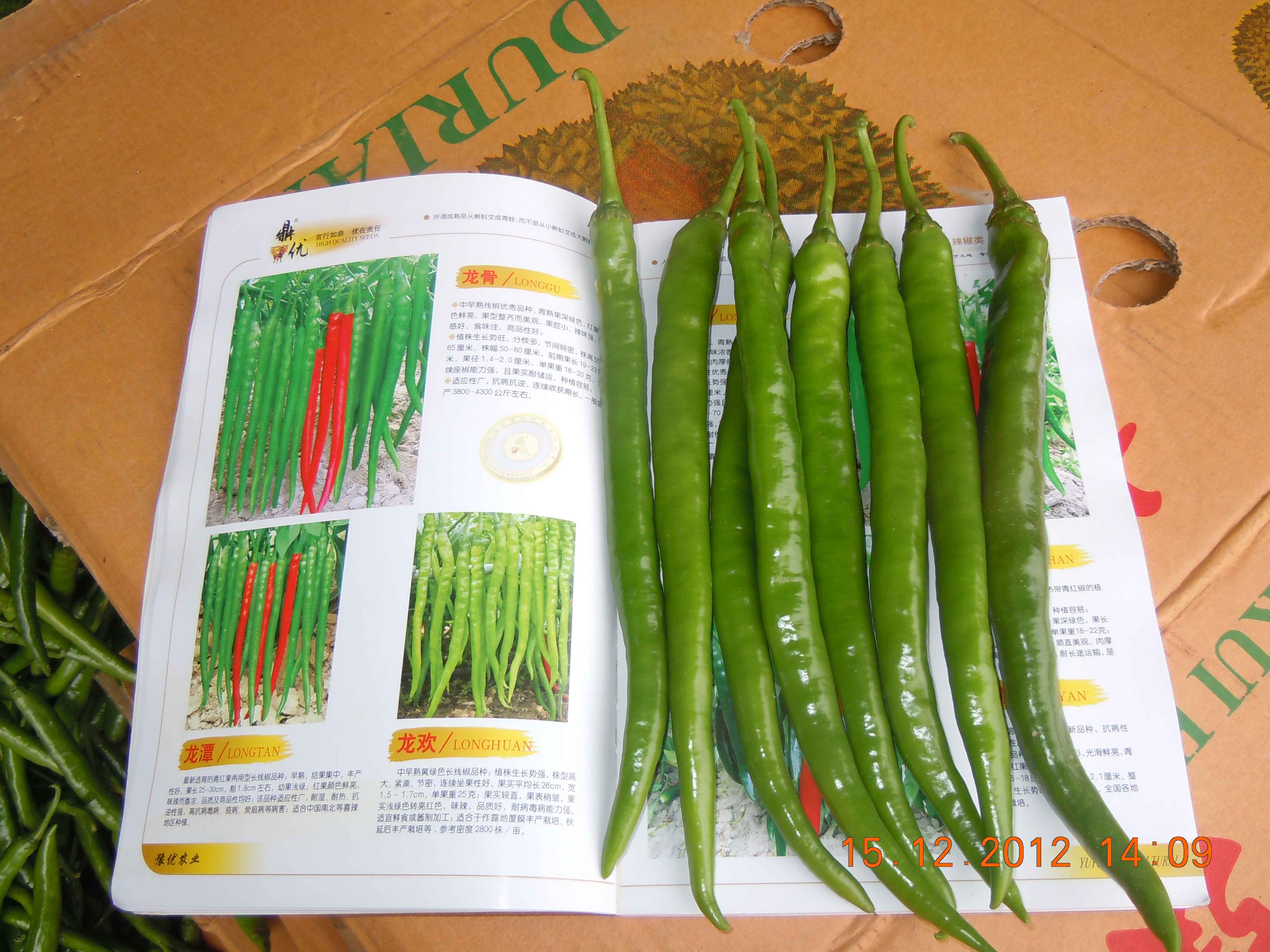 点击在新窗口中打开