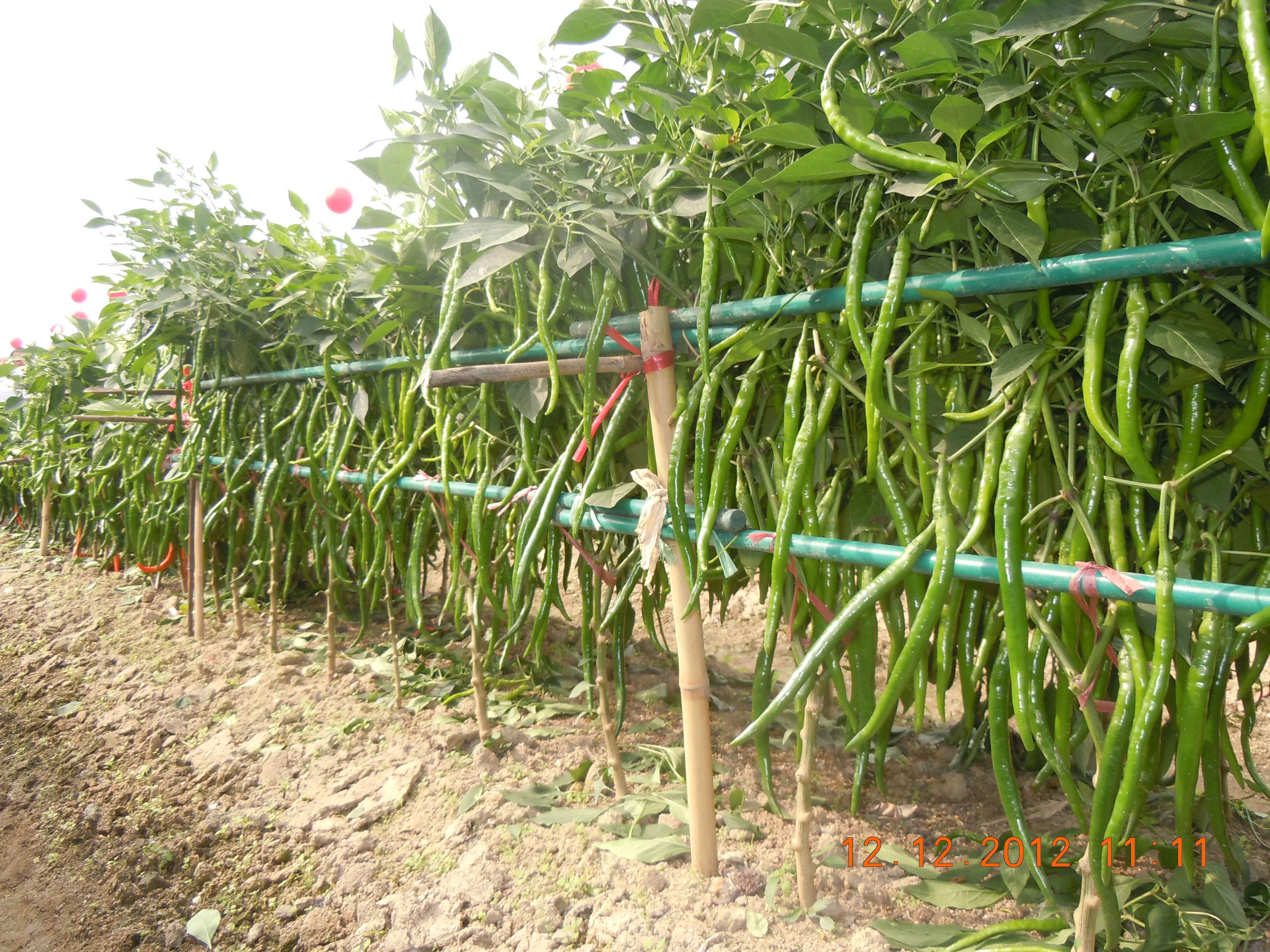 点击在新窗口中打开