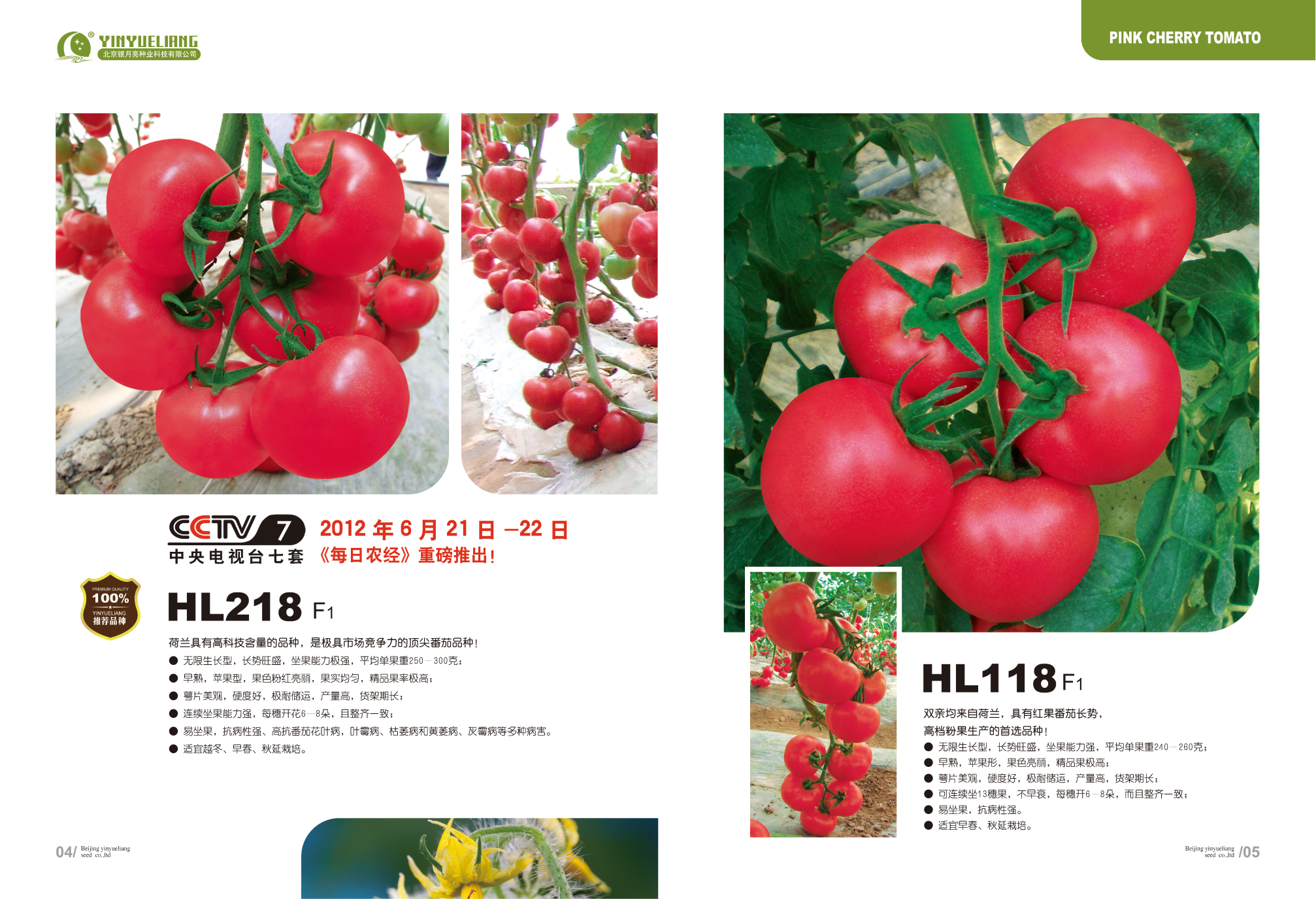 点击在新窗口中打开