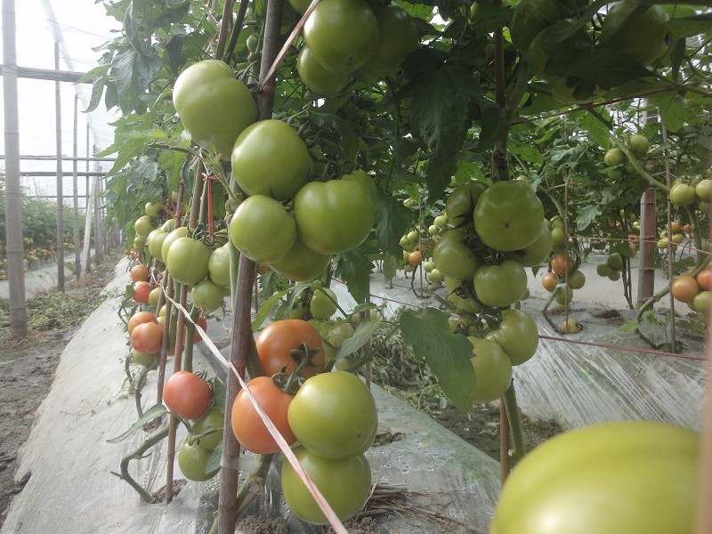 点击在新窗口中打开