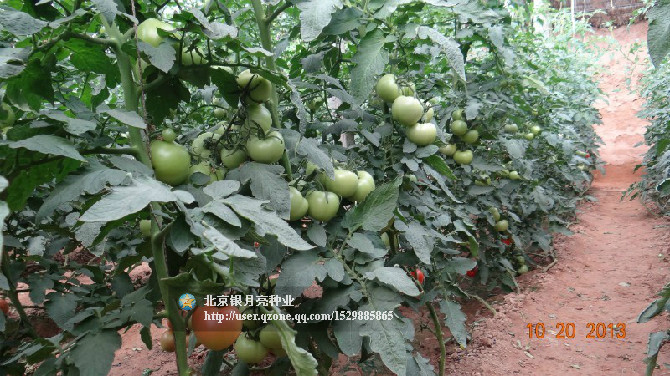 点击在新窗口中打开