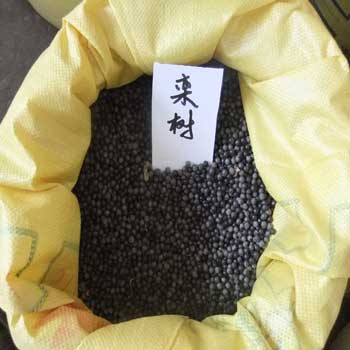 点击在新窗口中打开