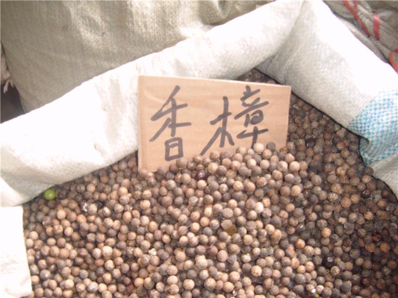 点击在新窗口中打开