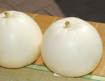 点击在新窗口中打开