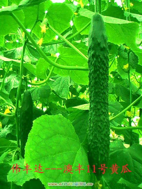 点击在新窗口中打开