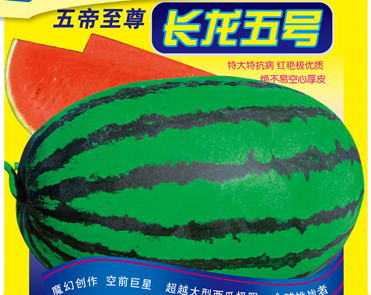 点击在新窗口中打开