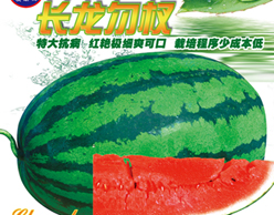 点击在新窗口中打开