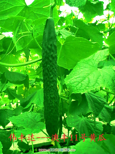 点击在新窗口中打开