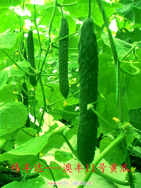 点击在新窗口中打开