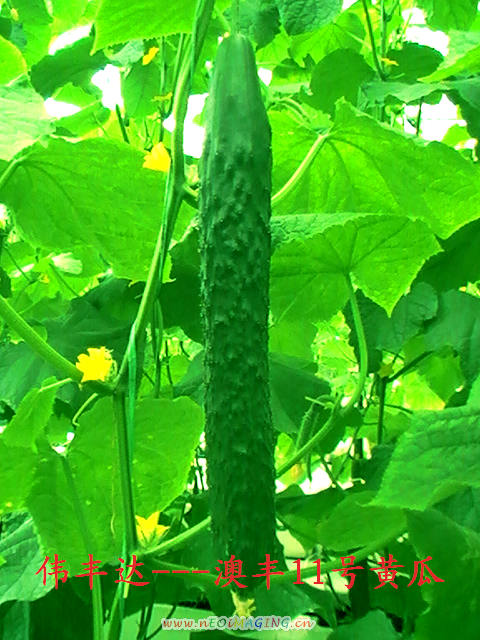 点击在新窗口中打开