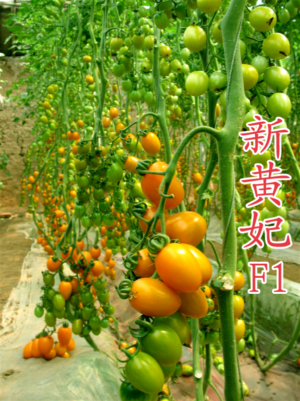 点击在新窗口中打开