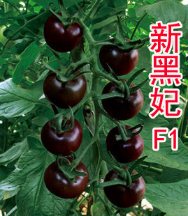 点击在新窗口中打开