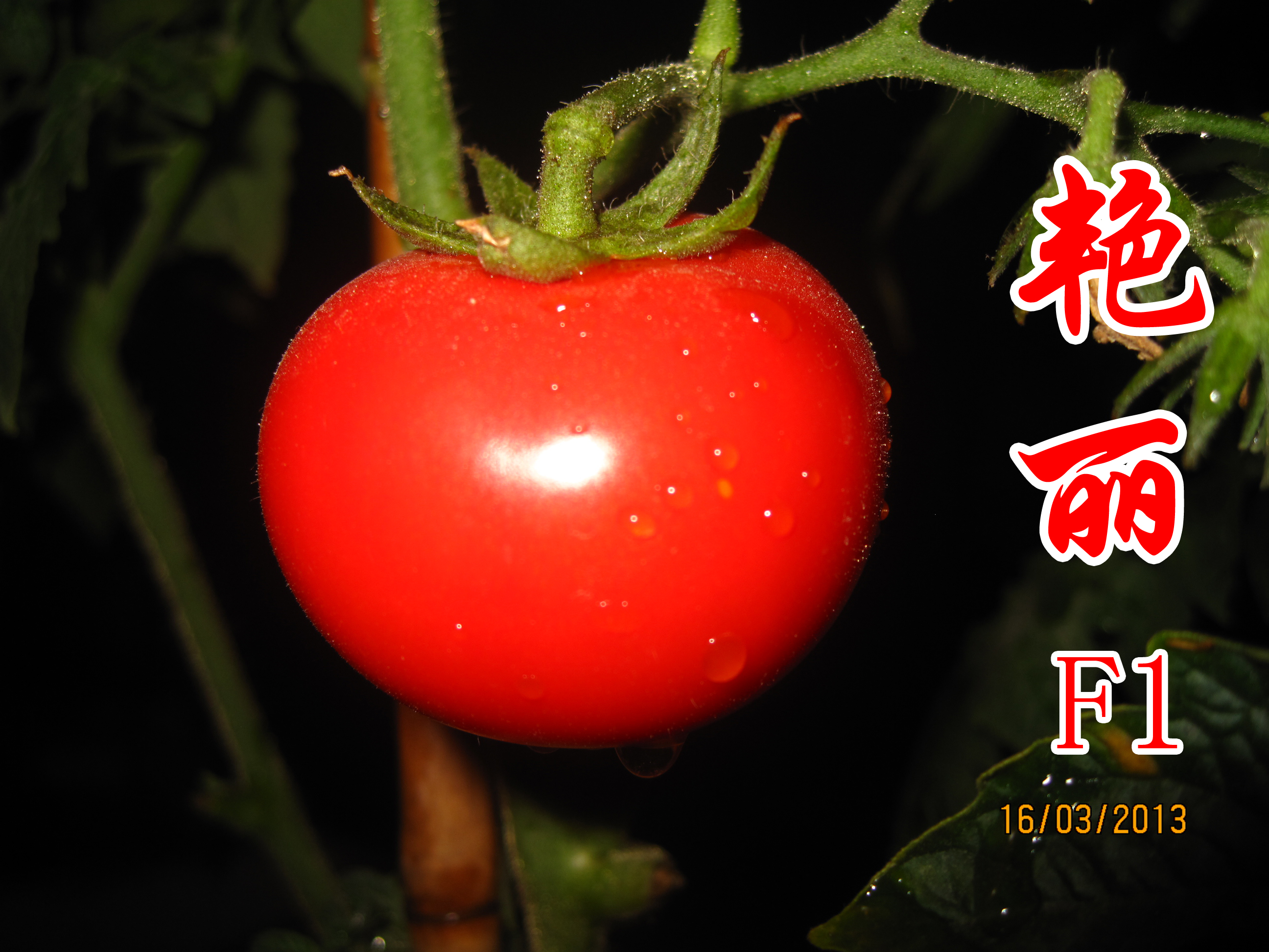 点击在新窗口中打开