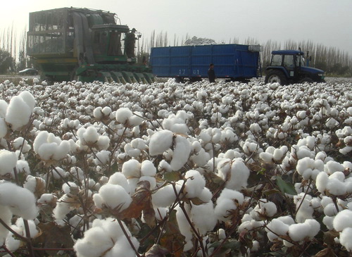 点击在新窗口中打开