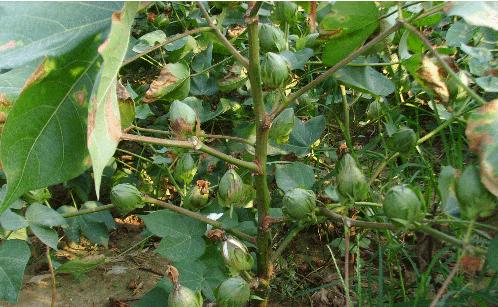 点击在新窗口中打开