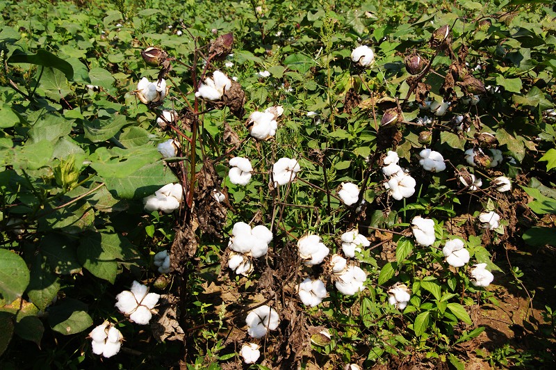 点击在新窗口中打开