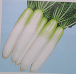 点击在新窗口中打开