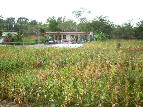 点击在新窗口中打开