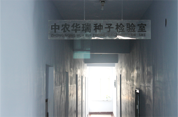 点击在新窗口中打开