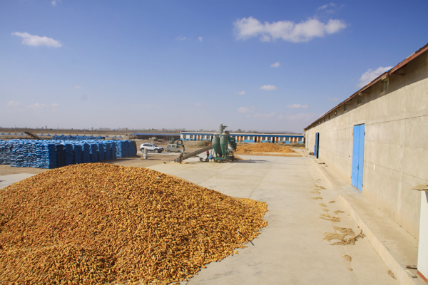 点击在新窗口中打开