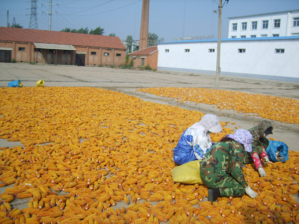 点击在新窗口中打开