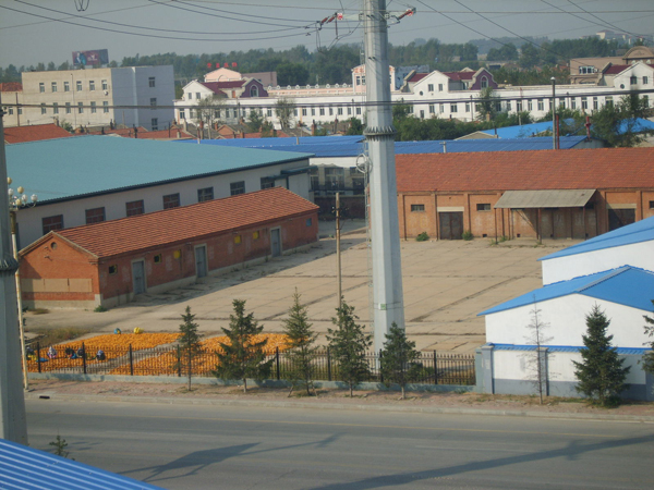 点击在新窗口中打开