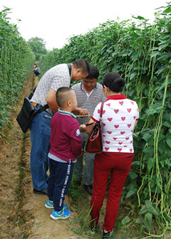 点击在新窗口中打开