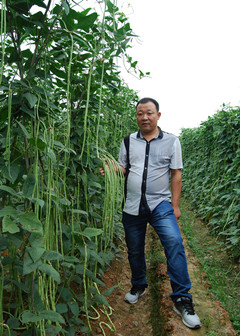 点击在新窗口中打开