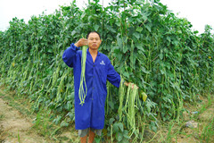 点击在新窗口中打开