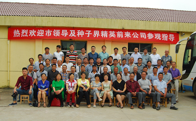 点击在新窗口中打开